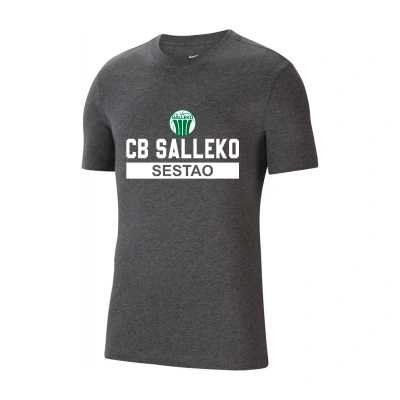 Camiseta Nike Park Gris